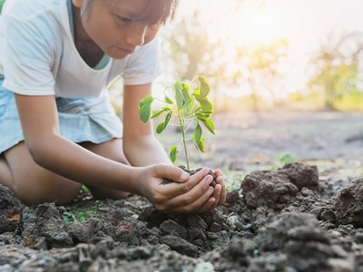 Câmara prova projeto para promover conscientização ambiental
